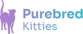 purebred kitties