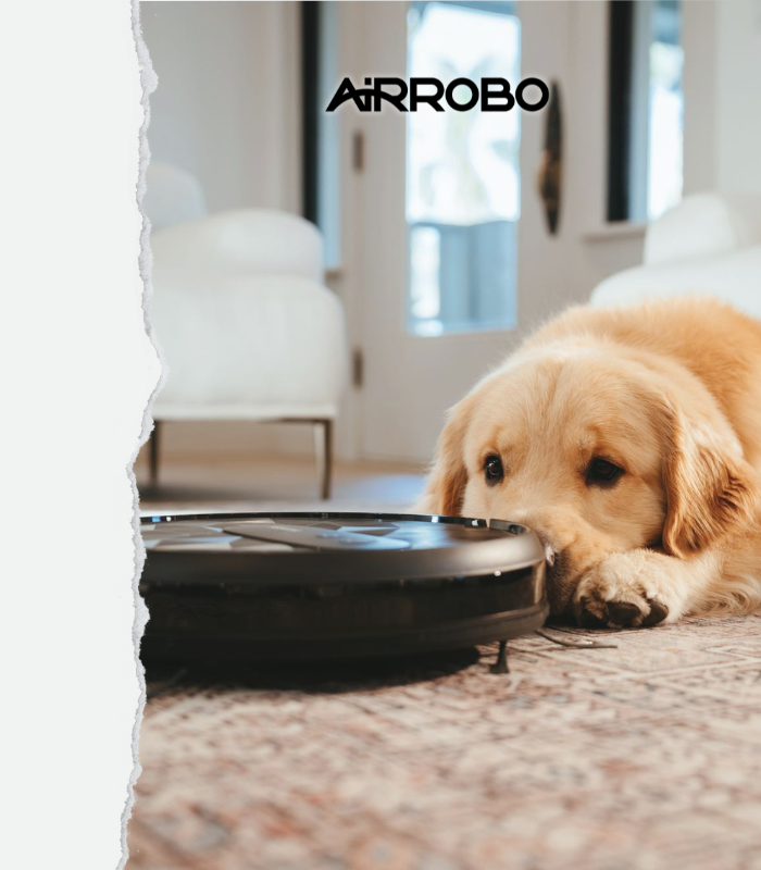 AIRROBO P10 Support Center | US Official Website
