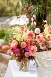 dahlias, flowers, bouquet, Farm-to-table Dinner