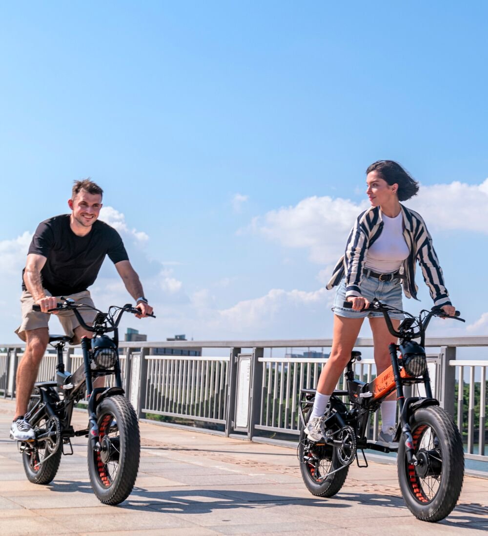 Chargeur BMZ Pour Vélo Rixe Montpellier I9, 36V 3A, Neuf