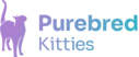 purebred kitties logo