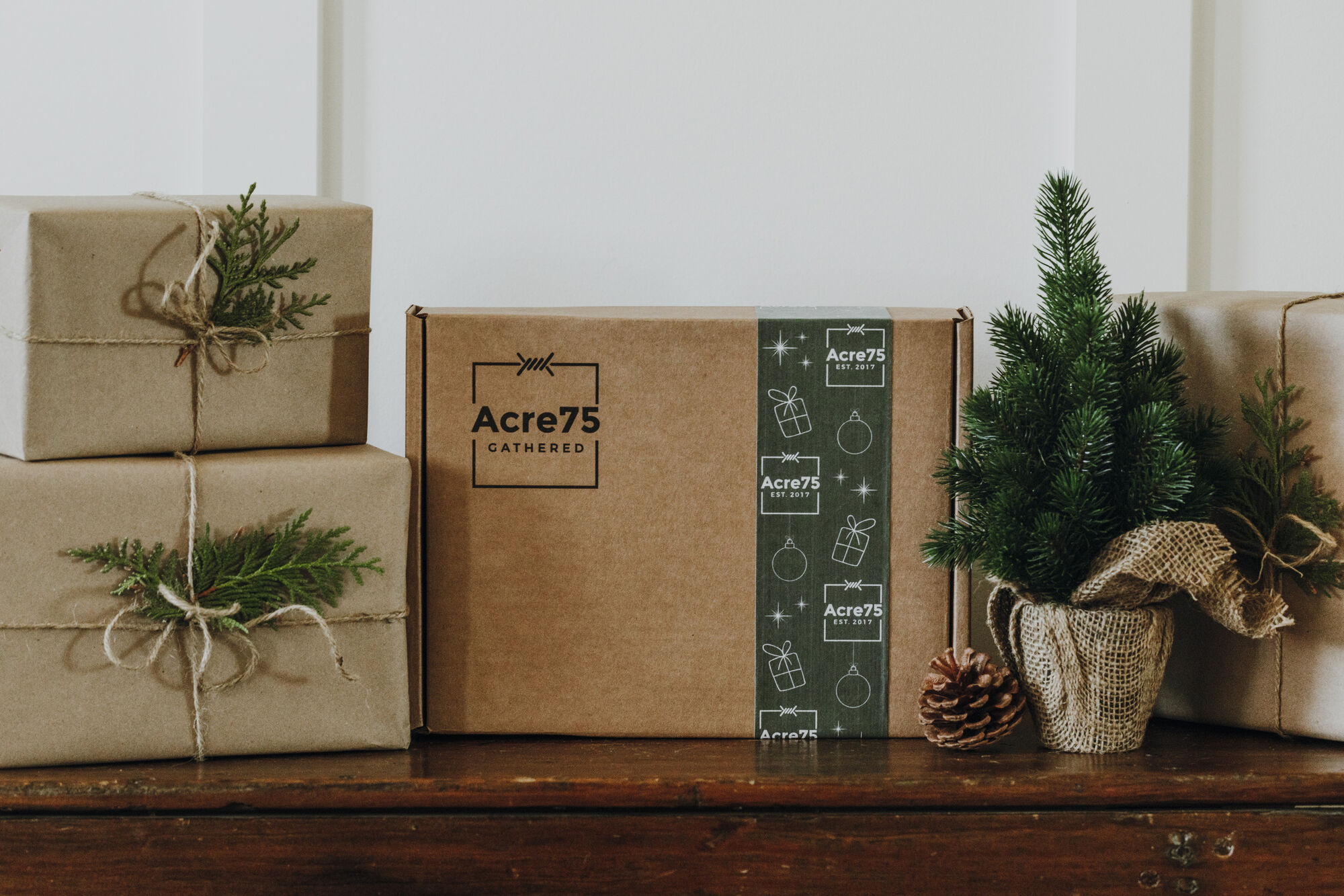Gathered Waitlist - Spring Box 2025
