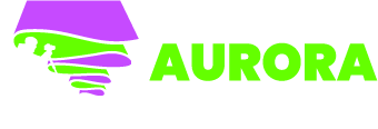 Vincent Ledvina - The Aurora Guy Logo