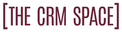 The CRM Space Logo