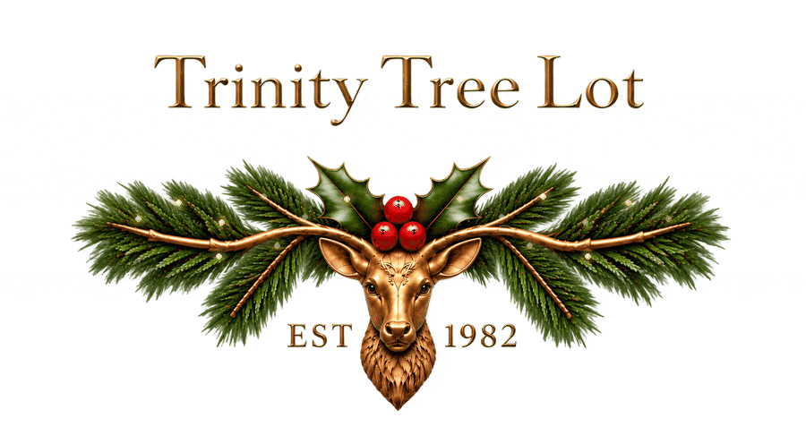 Trinity Tree Lot