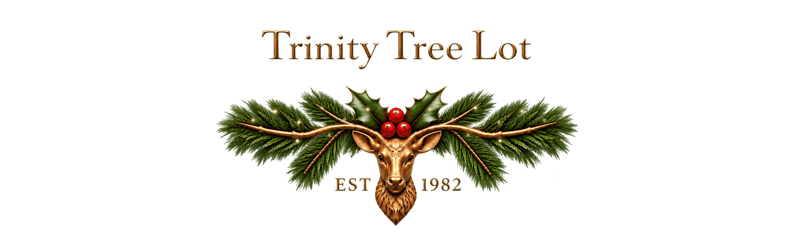 Trinity Tree Lot